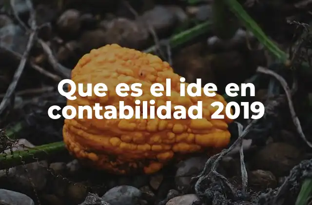 Que es el Ide en Contabilidad 2019