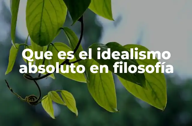 Que es el Idealismo Absoluto en Filosofía