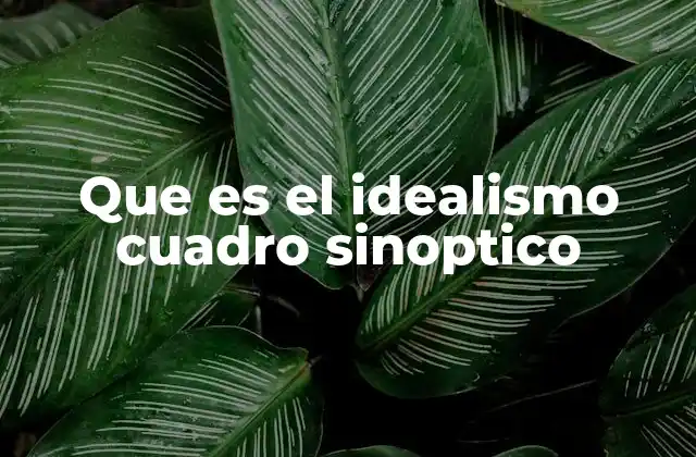 Que es el Idealismo Cuadro Sinoptico