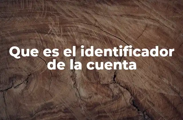 Que es el Identificador de la Cuenta