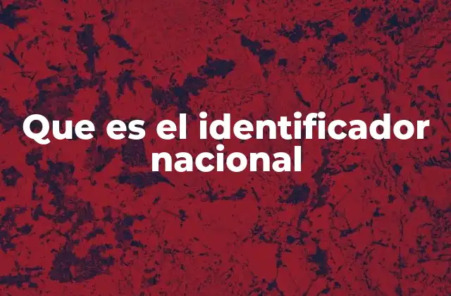 Que es el Identificador Nacional