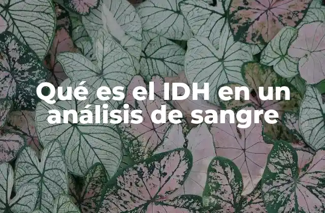 Qué es el Idh en un Análisis de Sangre