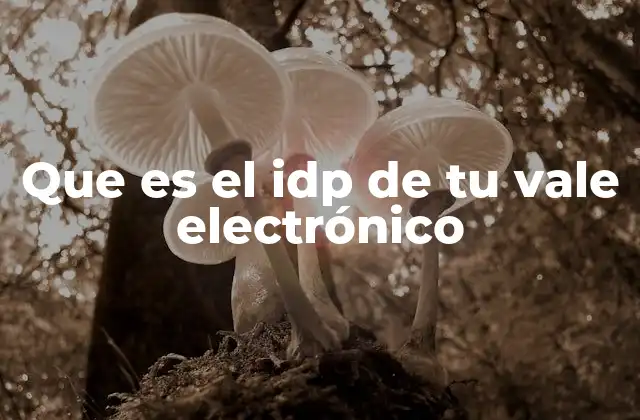 Que es el Idp de Tu Vale Electrónico