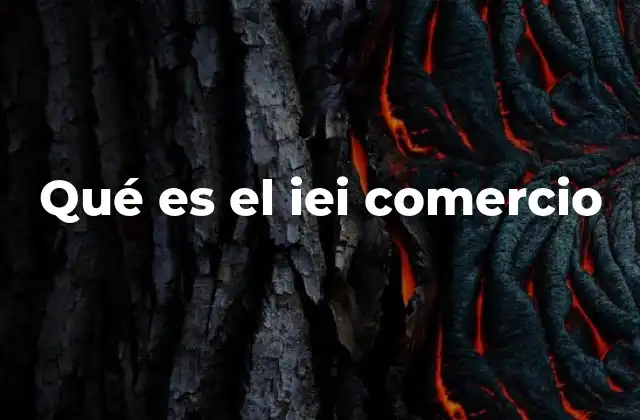 El rol de las instituciones en la internacionalización de empresas