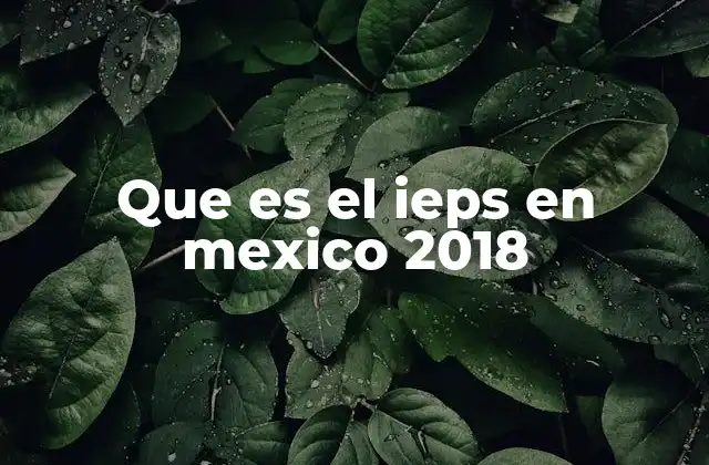 Que es el Ieps en Mexico 2018