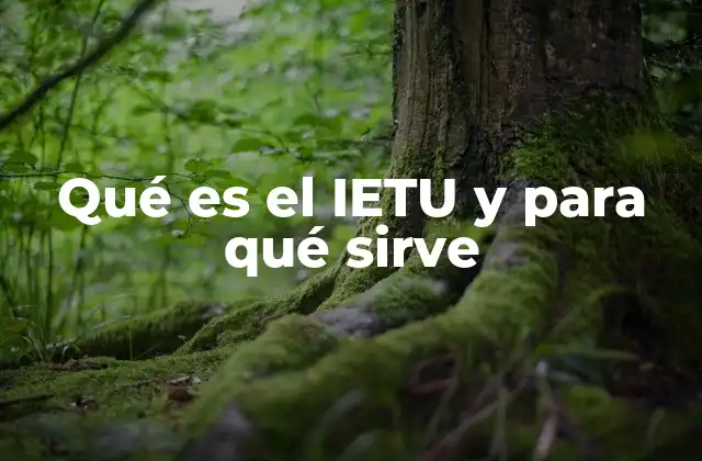 Qué es el Ietu y para Qué Sirve