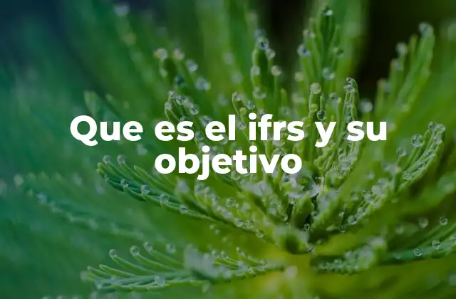 Que es el Ifrs y Su Objetivo