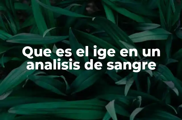 Que es el Ige en un Analisis de Sangre