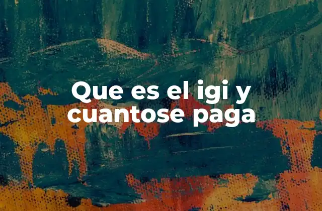 Que es el Igi y Cuantose Paga