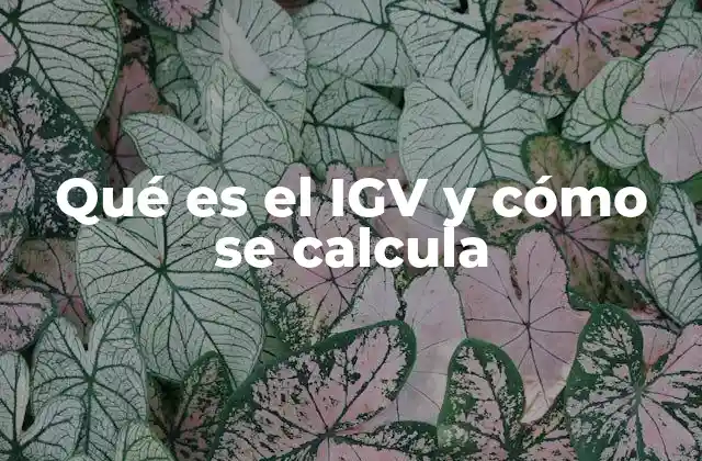 Qué es el Igv y Cómo Se Calcula