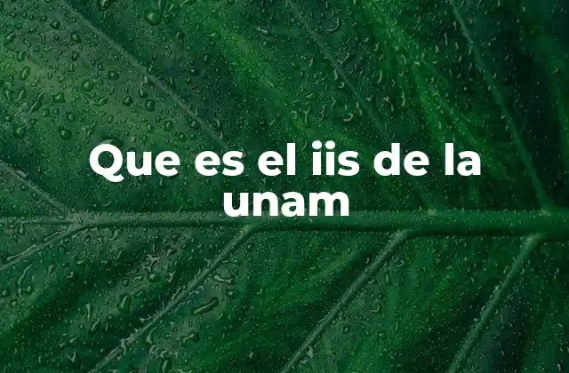 Que es el Iis de la Unam