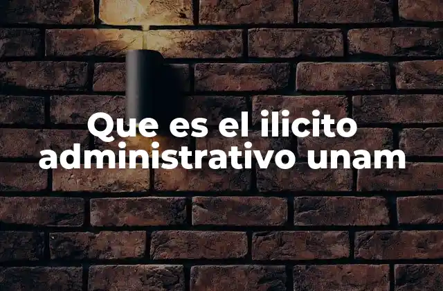 Que es el Ilicito Administrativo Unam