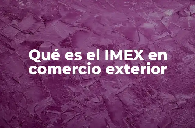 Qué es el Imex en Comercio Exterior