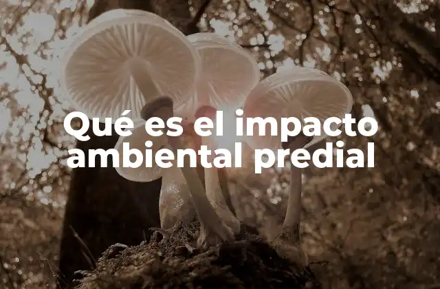 Qué es el Impacto Ambiental Predial