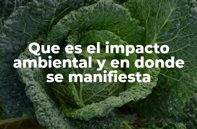 Cómo las actividades humanas alteran el equilibrio natural