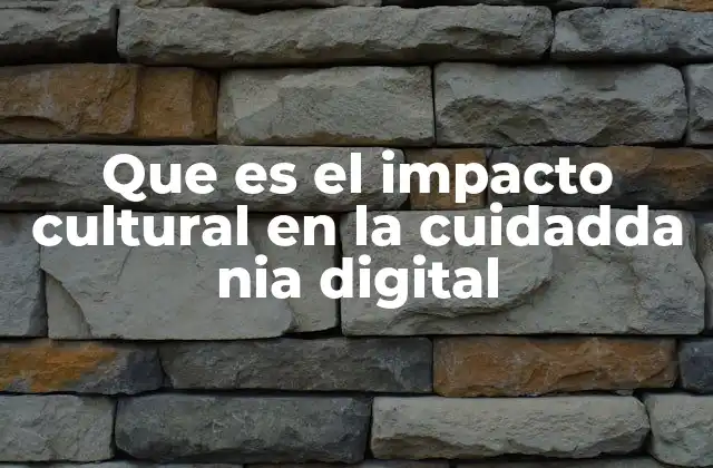 Que es el Impacto Cultural en la Cuidadda Nia Digital