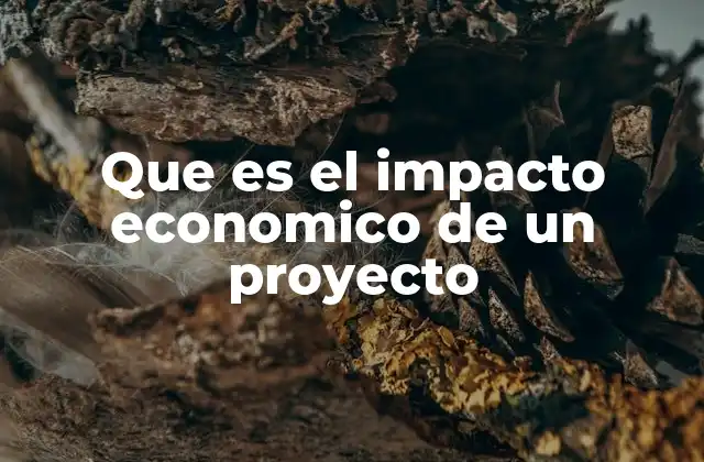 La importancia del análisis económico en la planificación de proyectos