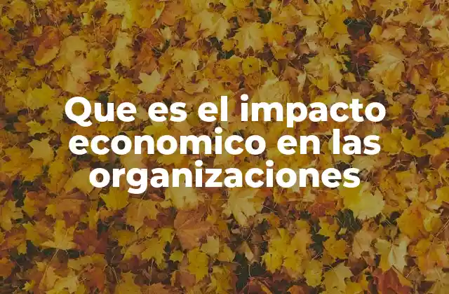 Que es el Impacto Economico en las Organizaciones