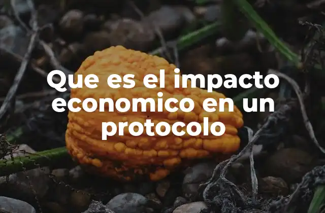 Que es el Impacto Economico en un Protocolo