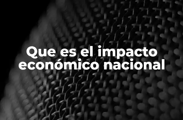 Factores que influyen en el impacto económico nacional