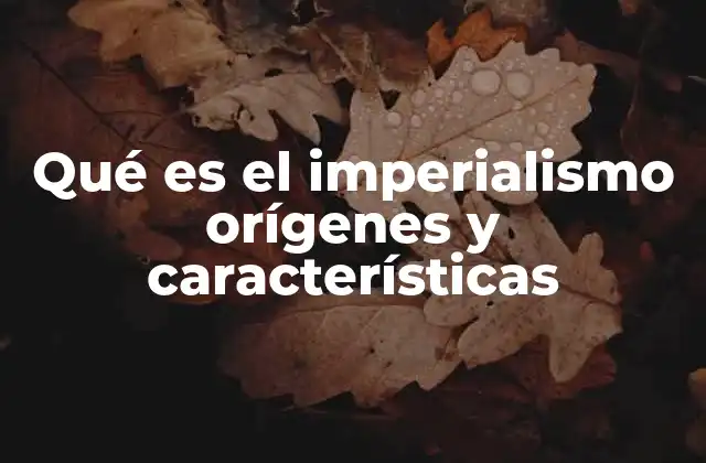 Qué es el Imperialismo Orígenes y Características