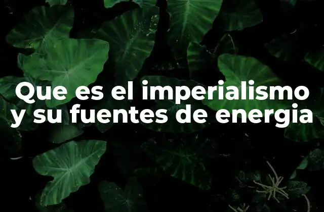 Que es el Imperialismo y Su Fuentes de Energia