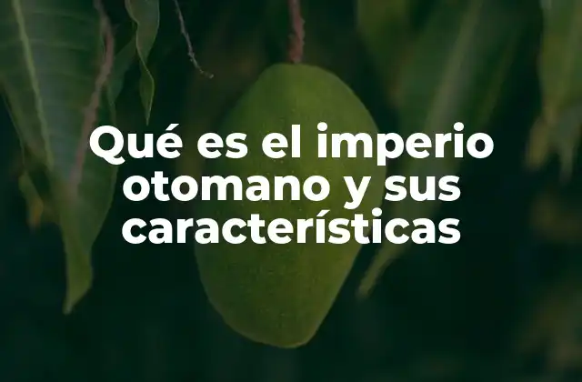 Qué es el Imperio Otomano y Sus Características