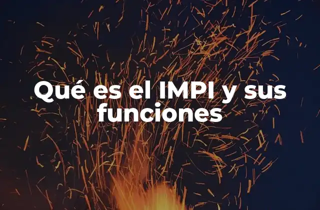 Qué es el Impi y Sus Funciones