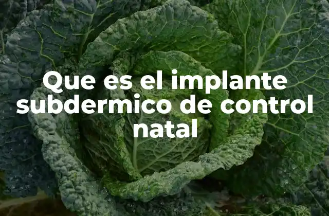 Que es el Implante Subdermico de Control Natal