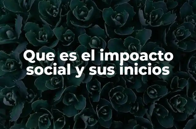 Que es el Impoacto Social y Sus Inicios