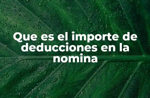 Que es el Importe de Deducciones en la Nomina