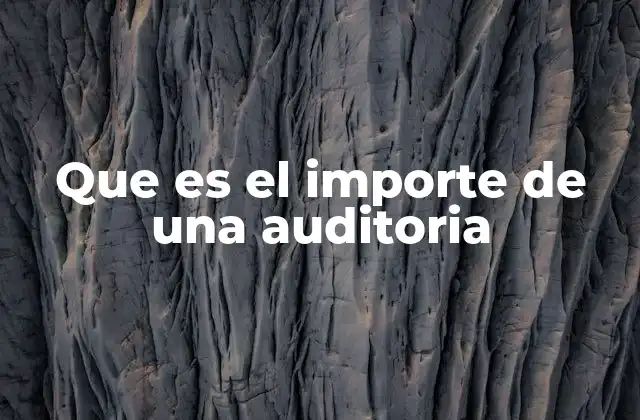 Que es el Importe de una Auditoria