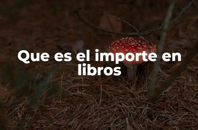 Que es el Importe en Libros