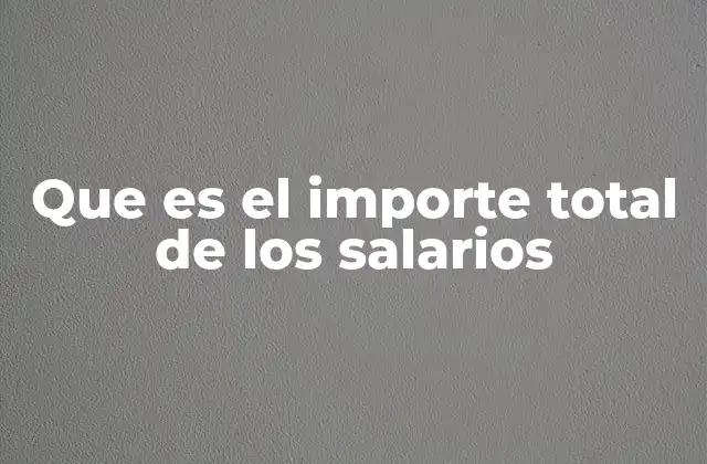 Que es el Importe Total de los Salarios