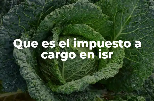 Que es el Impuesto a Cargo en Isr