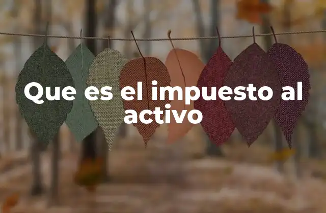 Que es el Impuesto Al Activo