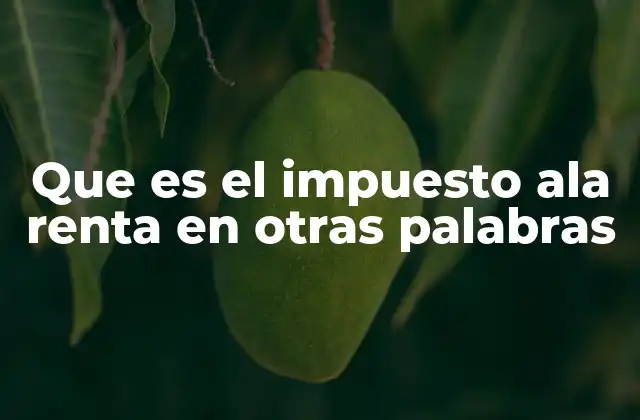 Que es el Impuesto Ala Renta en Otras Palabras