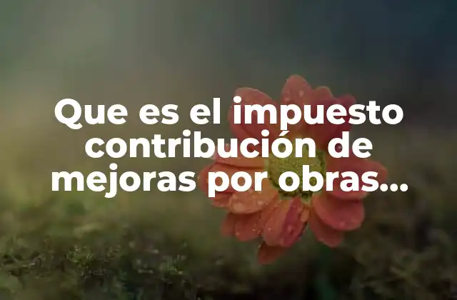 Que es el Impuesto Contribución de Mejoras por Obras Públicas