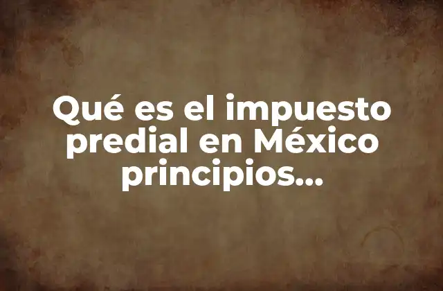 Qué es el Impuesto Predial en México Principios Constitucionales