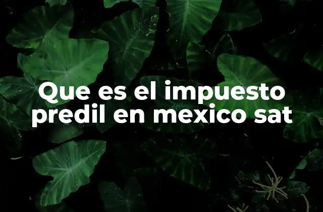 Que es el Impuesto Predil en Mexico Sat