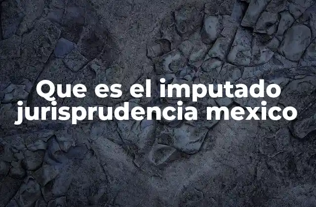 Que es el Imputado Jurisprudencia Mexico