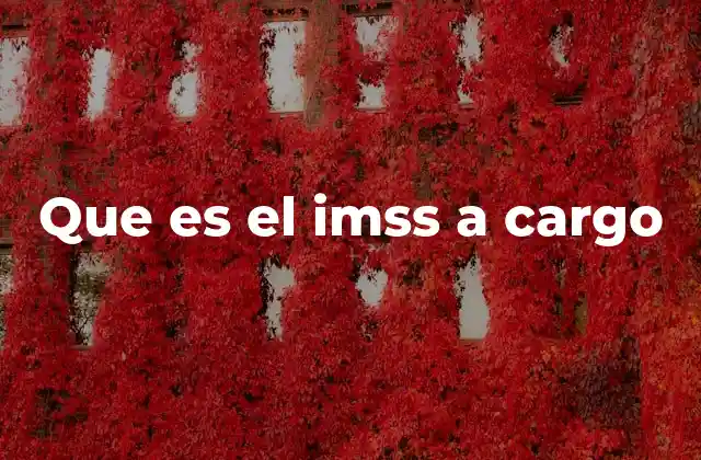 Que es el Imss a Cargo