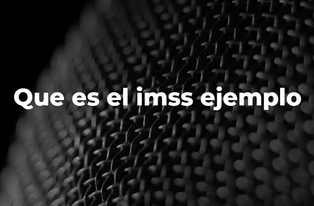 Que es el Imss Ejemplo