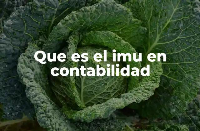 Que es el Imu en Contabilidad