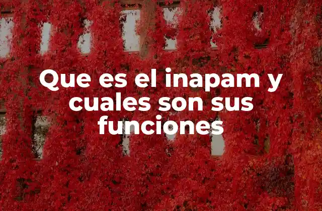 Que es el Inapam y Cuales Son Sus Funciones
