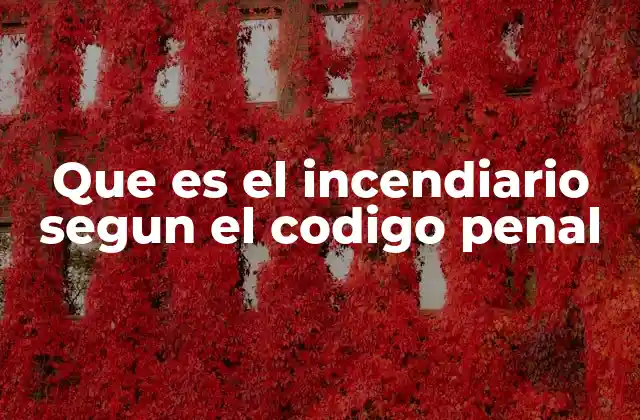 Que es el Incendiario Segun el Codigo Penal