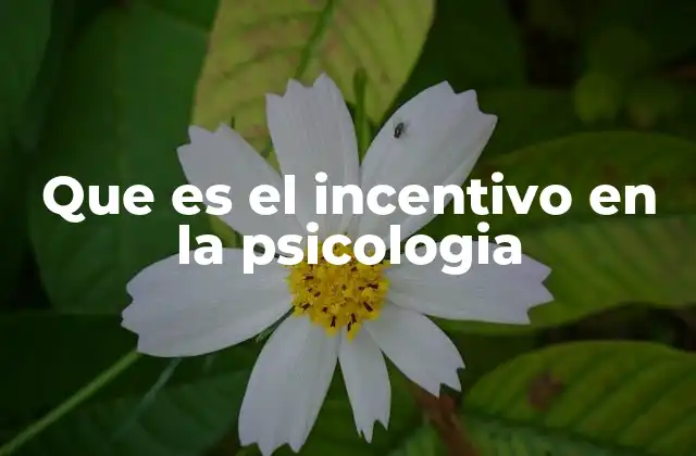 Que es el Incentivo en la Psicologia