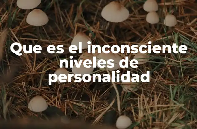 Que es el Inconsciente Niveles de Personalidad