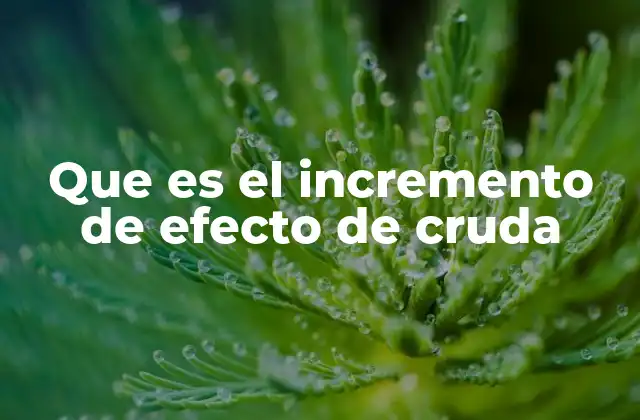 Que es el Incremento de Efecto de Cruda