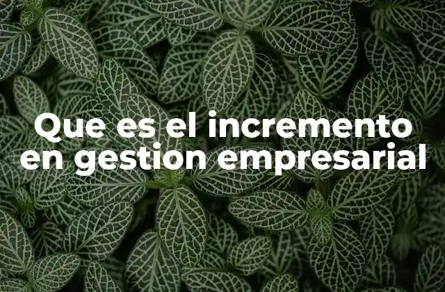 Que es el Incremento en Gestion Empresarial